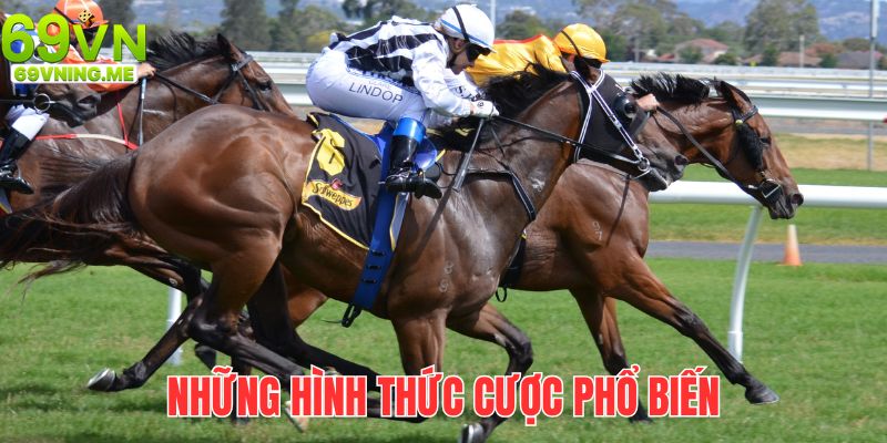 Những hình thức cá cược đua ngựa mới nhất hiện nay